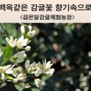 백옥농장 이미지