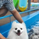 이쁘개즐겁개 이미지