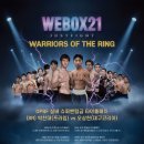 위스타트복싱 이미지