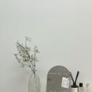 바이러브온 이미지