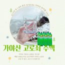 희정농장 이미지