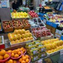 스마일과일꽈배기 | 최선어학원 레테 후기, 온달 만두 분식, 미션임파서블, 국립생물자원관