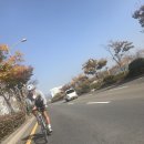 [ 자전거 라이딩 ] 샤방라이딩을 빙자한 운동라이딩...