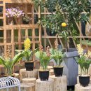 국립백두대간수목원 판매센터 이미지