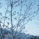 하얀낭만 이미지