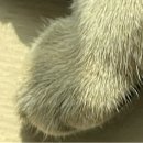= 처음 뵙겠습니다