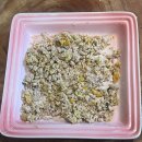 한끼멍냥 이미지