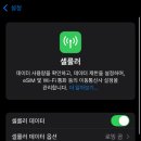 이심 티스토리