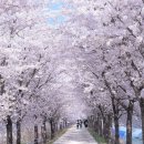 새사랑요양센터 이미지