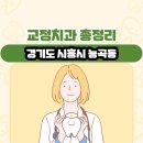 연세손치과의원 | 경기도 시흥시 능곡동 교정치과 총정리