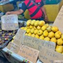 (주)가이드맨 이미지