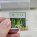 부윤농장 네이버블로그