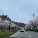 승월경로당 네이버블로그