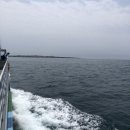 마파도민박 | [제주 한 달 살기] 둘째 주 일상 :: Day 10
