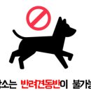 강영천 효자문 이미지