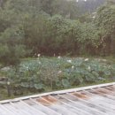 모텔 티파니 이미지