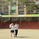 동창사 | 금강제화 클락스 토르뷰 사이즈팁&구매후기