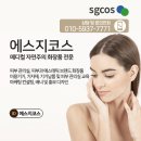 에스지메디칼 이미지