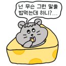 숙이네건어물 이미지