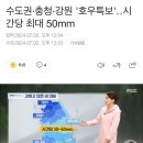 수도권·충청·강원 '호우특보'‥시간당 최대 50mm 이미지