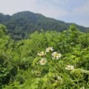 풍산2리 이미지