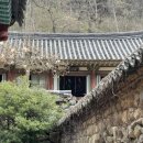 순천-45호 이미지