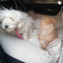 또또살롱 이미지