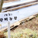 단비농원 이미지