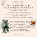 손수지은꽃