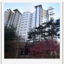 7단지대림공인중개사사무소 이미지