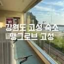 멍사무소 | 강원도 고성 '맹그로브' 워케이션 숙소 | 여성 4인실 도미토리 후기