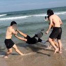 술래방아 | MT 레크레이션 게임 5가지 총정리! (해변 야외게임, 실내게임)