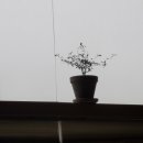 토스트&김밥 이미지