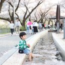 수안보
