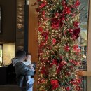 밥이랑 커피랑 | 그랜드하얏트 서울 테라스 뷔페 평일 런치 후기 할인꿀팁, 주차, 커피 주문까지 총정리