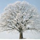 간석4동-3 이미지