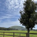 도희목장 이미지