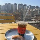 켈리 독, 강남 애견호텔 애견유치원 이미지