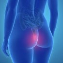 수원-0568 이미지