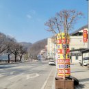 단양추어탕 이미지