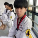 중남키즈태권도장 이미지