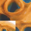 엘투치과의원 이미지