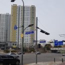 운정파크푸르지오 앞 횡단보도 이미지