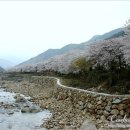 화개장터 이미지