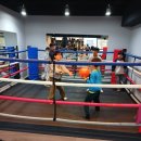 아이스타복싱클럽 | 해운대복싱 아시아복싱클럽 아이들 복싱수업 후 놀이후기