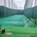 다일락스포렉스 이미지