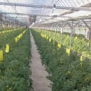 청양농장 이미지