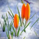 햇살좋은아침 이미지