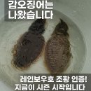 남해낚시 | 오는 날에도 대박 조황!] 남해 서상항 레인보우호 갑오징어·쭈꾸미 낚시 후기 + 입질 잘 받는 채비 팁까지