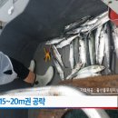 나사항2 이미지